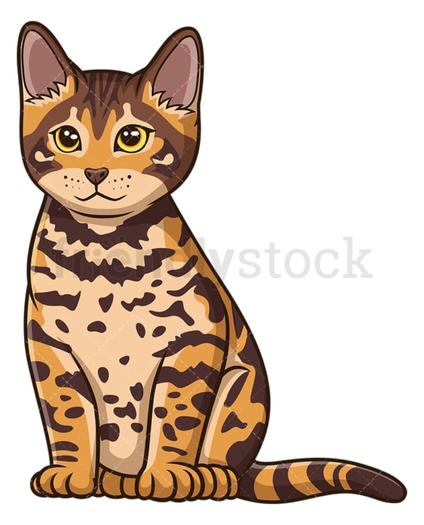 Bengal kitten. PNG - JPG and vector EPS (infinitely scalable).