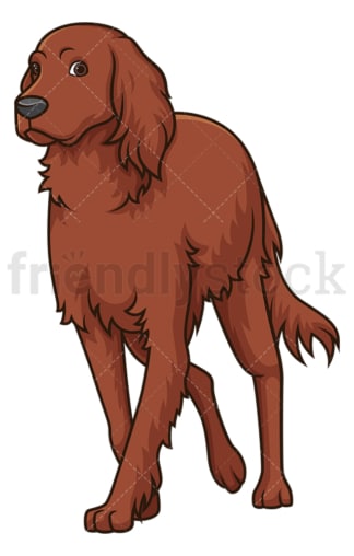 Irish setter walking. PNG - JPG and vector EPS (infinitely scalable).