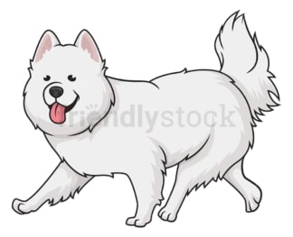 Samoyed dog running. PNG - JPG and vector EPS (infinitely scalable).