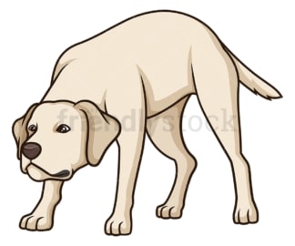 Labrador retriever sniffing. PNG - JPG and vector EPS (infinitely scalable).