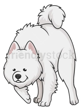 Samoyed sniffing. PNG - JPG and vector EPS (infinitely scalable).