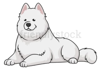 Samoyed lying down. PNG - JPG and vector EPS (infinitely scalable).