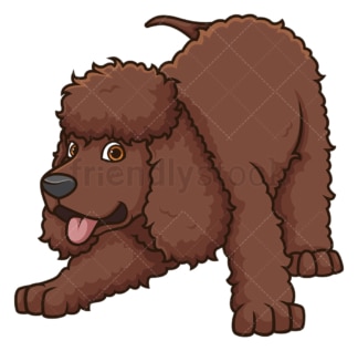 Playful irish water spaniel. PNG - JPG and vector EPS (infinitely scalable).
