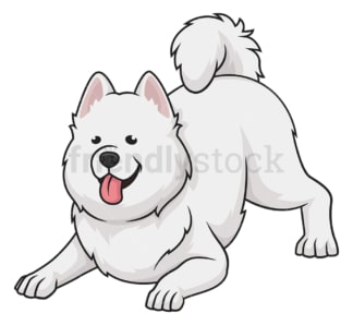 Playful samoyed. PNG - JPG and vector EPS (infinitely scalable).