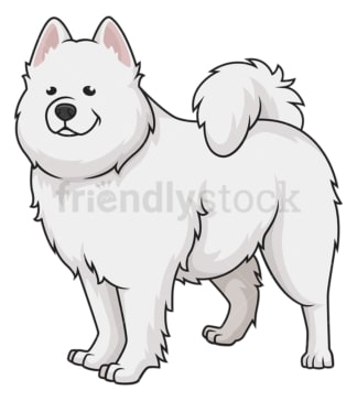 Gorgeous samoyed dog. PNG - JPG and vector EPS