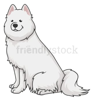 Obedient samoyed dog. PNG - JPG and vector EPS (infinitely scalable).