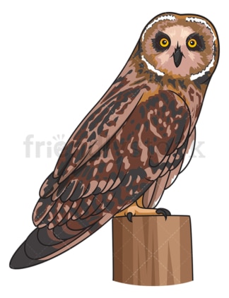 Short-Eared owl. PNG - JPG and vector EPS file formats (infinitely scalable). Image isolated on transparent background.