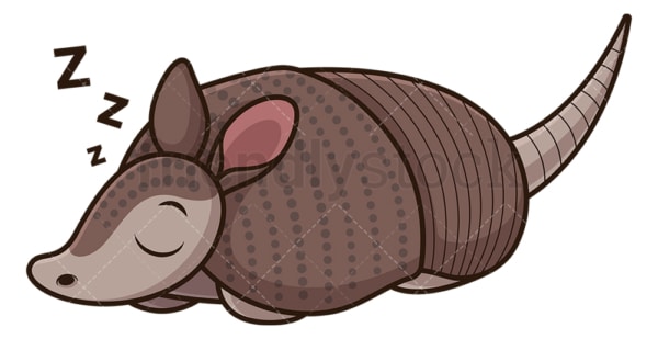 Armadillo sleeping. PNG - JPG and vector EPS (infinitely scalable).