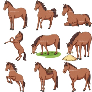 Realistic horse. PNG - JPG and infinitely scalable vector EPS - on white or transparent background.