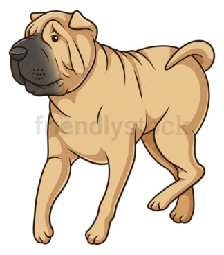 Shar pei dog walking. PNG - JPG and vector EPS (infinitely scalable).