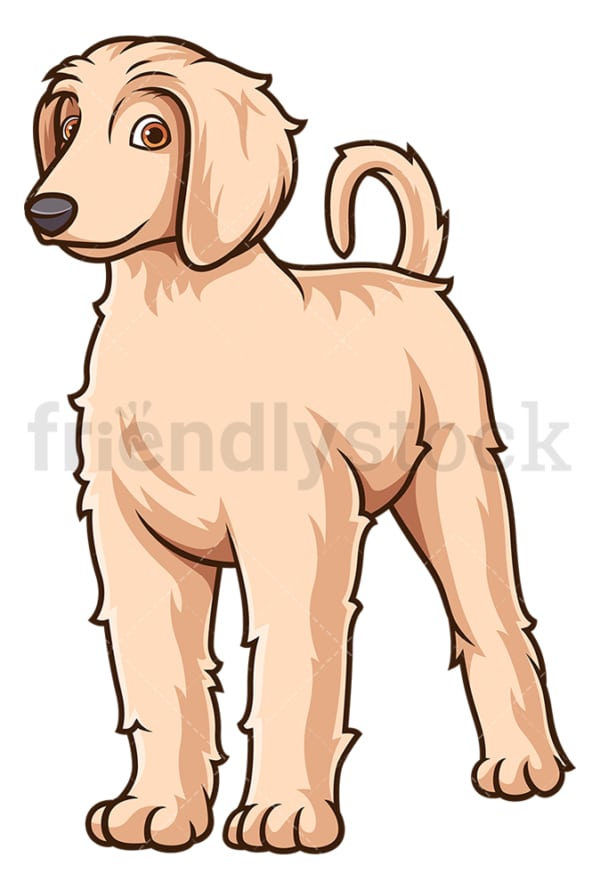 Cute afghan hound puppy. PNG - JPG and vector EPS (infinitely scalable).