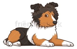 Cute sheltie puppy. PNG - JPG and vector EPS (infinitely scalable).