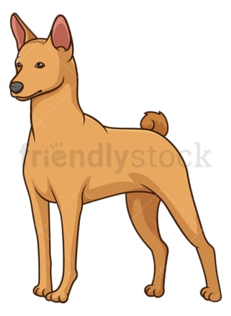 Gorgeous basenji dog. PNG - JPG and vector EPS (infinitely scalable).