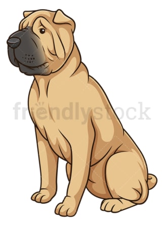 Obedient shar pei dog sitting. PNG - JPG and vector EPS (infinitely scalable).