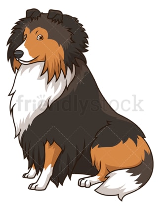 Obedient shetland sheepdog sitting. PNG - JPG and vector EPS (infinitely scalable).