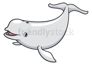 Beluga whale. PNG - JPG and vector EPS (infinitely scalable).