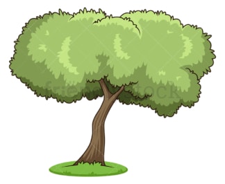 Olive tree. PNG - JPG and vector EPS (infinitely scalable).