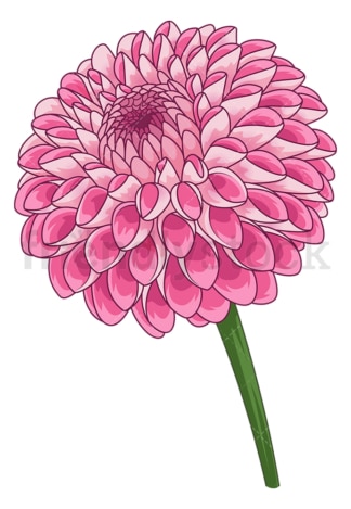 Dahlia flower. PNG - JPG and vector EPS (infinitely scalable).