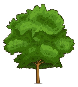 White oak tree. PNG - JPG and vector EPS (infinitely scalable).