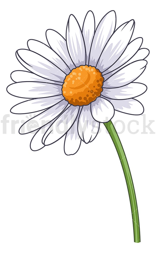 Common Daisy Flower Cartoon Clipart Vector - FriendlyStock