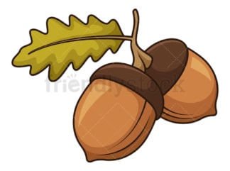 Pair acorn. PNG - JPG and vector EPS file formats (infinitely scalable). Image isolated on transparent background.