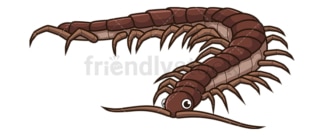 Cute centipede. PNG - JPG and vector EPS file formats (infinitely scalable). Image isolated on transparent background.