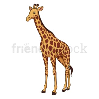 Realistic giraffe. PNG - JPG and vector EPS (infinitely scalable).