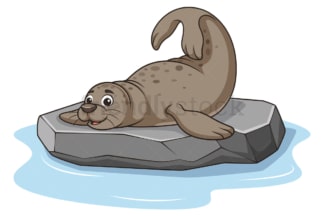 Sea lion on rock. PNG - JPG and vector EPS (infinitely scalable).