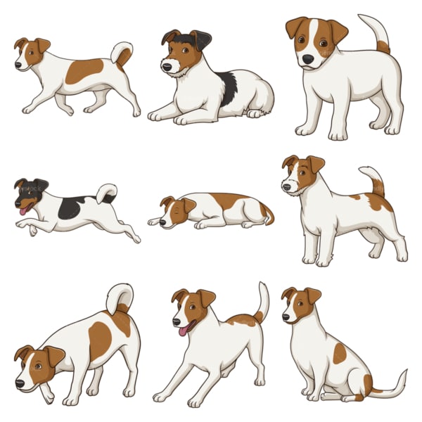 Jack Russell Terrier Dogs Clipart Vector Bundle - FriendlyStock