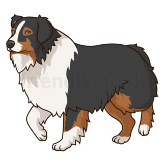 Cartoon australian shepherd dog. PNG - JPG and vector EPS (infinitely scalable).