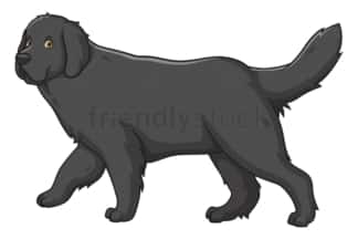 Cartoon newfoundland dog. PNG - JPG and vector EPS (infinitely scalable).