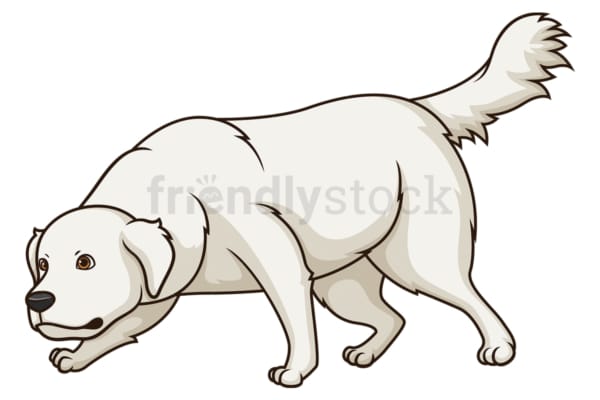 Great pyrenees sniffing. PNG - JPG and vector EPS (infinitely scalable).