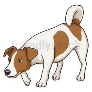 Jack russell sniffing. PNG - JPG and vector EPS (infinitely scalable).