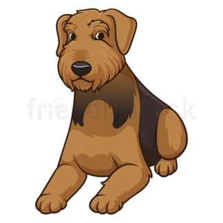 Airedale terrier lying down. PNG - JPG and vector EPS (infinitely scalable).