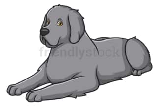Newfoundland lying down. PNG - JPG and vector EPS (infinitely scalable).
