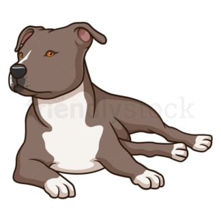 Staffordshire terrier lying down. PNG - JPG and vector EPS (infinitely scalable).