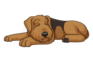 Sleeping airedale terrier. PNG - JPG and vector EPS (infinitely scalable).