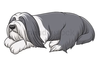 Sleeping bearded collie. PNG - JPG and vector EPS (infinitely scalable).