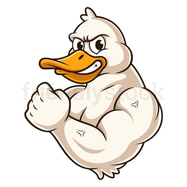 Cartoon Strong Duck Sports Mascot Vector Graphic - FriendlyStock