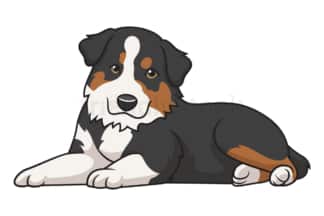 Cute australian shepherd puppy. PNG - JPG and vector EPS (infinitely scalable).