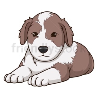 Cute bearded collie puppy. PNG - JPG and vector EPS (infinitely scalable).