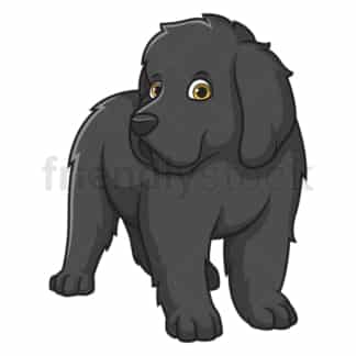 Cute newfoundland puppy. PNG - JPG and vector EPS (infinitely scalable).