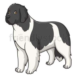 Gorgeous newfoundland dog. PNG - JPG and vector EPS (infinitely scalable).