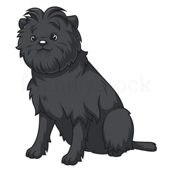 Obedient affenpinscher sitting. PNG - JPG and vector EPS (infinitely scalable).