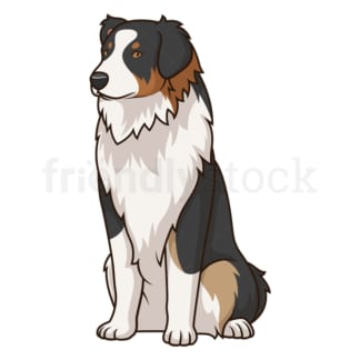 Obedient australian shepherd sitting. PNG - JPG and vector EPS (infinitely scalable).