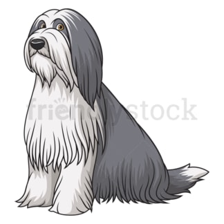 Obedient bearded collie sitting. PNG - JPG and vector EPS (infinitely scalable).