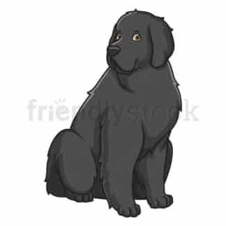 Obedient newfoundland sitting. PNG - JPG and vector EPS (infinitely scalable).