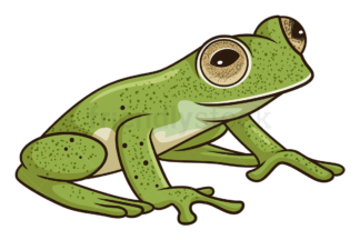 Cartoon glass frog. PNG - JPG and vector EPS (infinitely scalable).