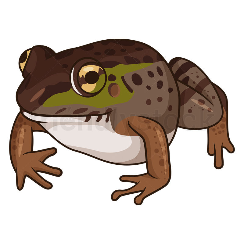 Cartoon Pond Frog Clipart Vector Illustration - FriendlyStock
