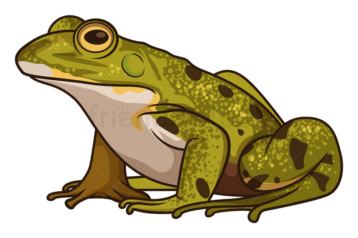 Dibujos animados True Frog Clipart Vector Ilustración - FriendlyStock